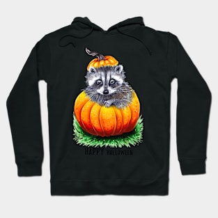 Little pumpkin Hoodie